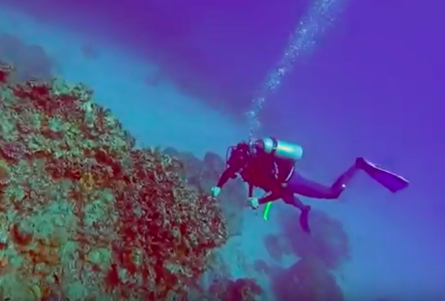 Diving Saxon Reef